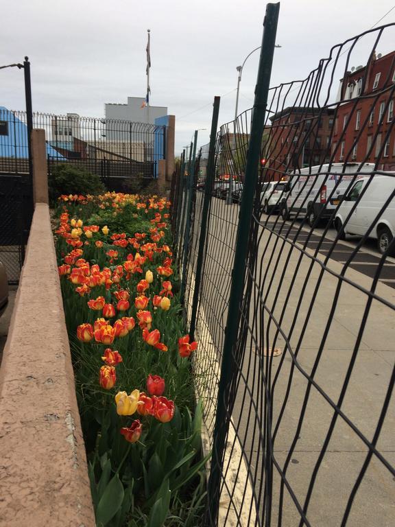Vakb Apartments New York Eksteriør billede